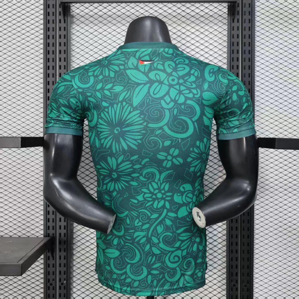 Palestine Concept Green Player Version 25/26