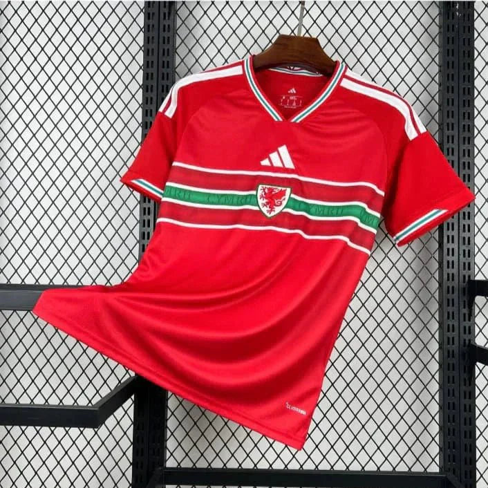 Pays de Galles DOM Coupe du monde 2026